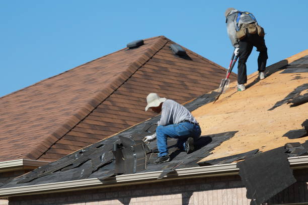 Best Storm Damage Roof Repair  in Prospect Rk, PA